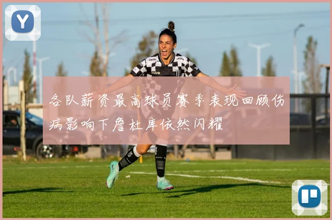 各队薪资最高球员赛季表现回顾伤病影响下詹杜库依然闪耀