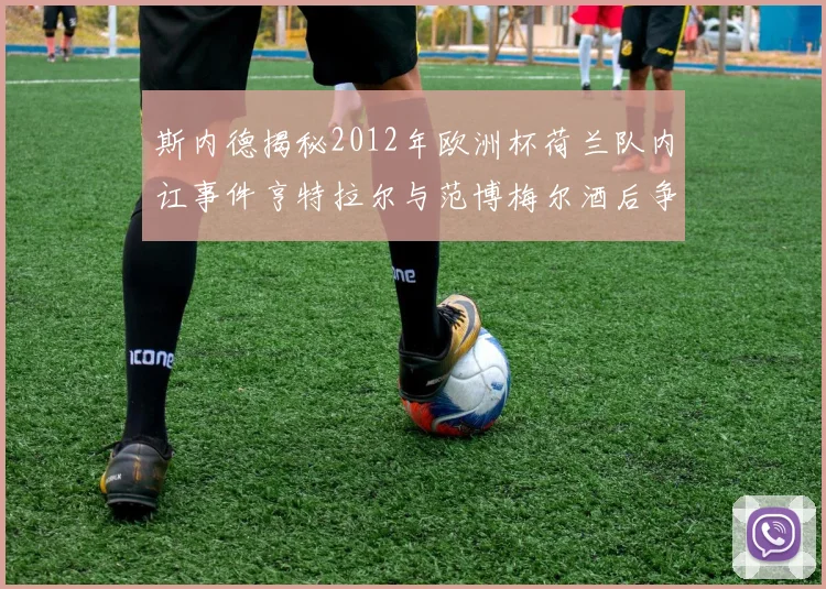斯内德揭秘2012年欧洲杯荷兰队内讧事件亨特拉尔与范博梅尔酒后争执内幕