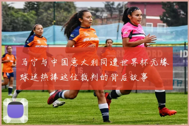 马宁与中国意大利同遭世界杯无缘球迷热捧这位裁判的背后故事